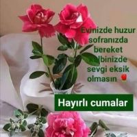 DEREN55